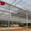 /product-detail/galvanized-steel-structure-pc-sheet-cover-used-commercial-greenhouses-60753520911.html