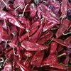 Top Sale Supplier Natural Sweet Dried Chilli Pepper Red Paprika