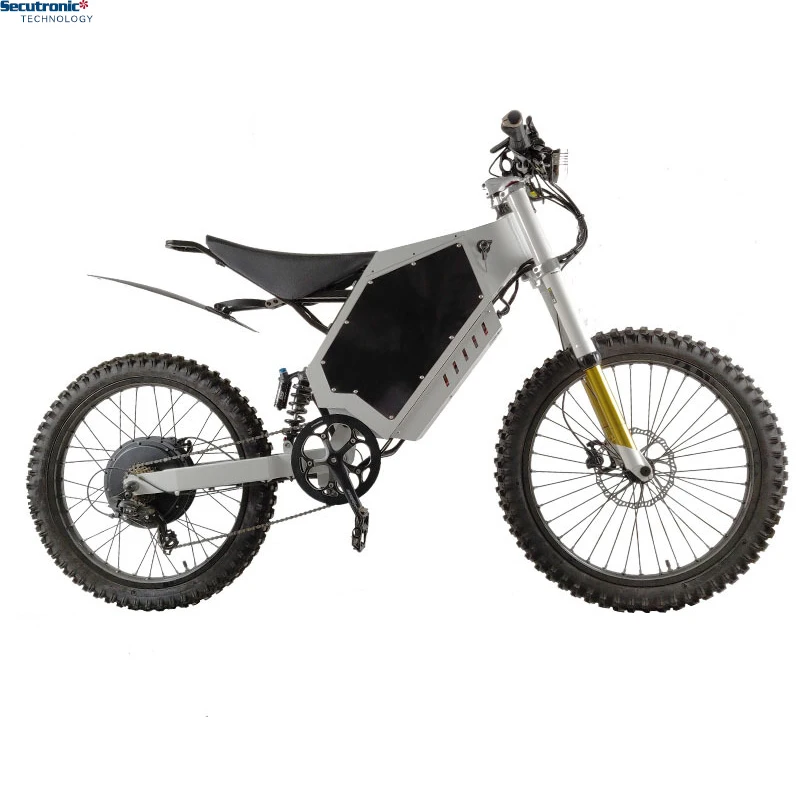 China Customized Outdoor Fast Sports Style Dirtbike Kxd Electric Dirt Bike
