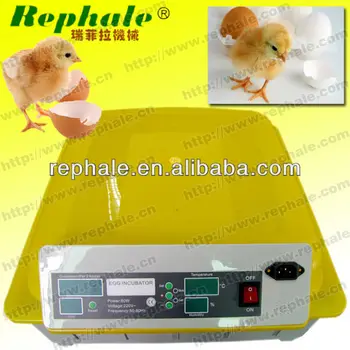 Chicken Egg Incubator Hatching Machine - Buy Chicken Egg Incubator 