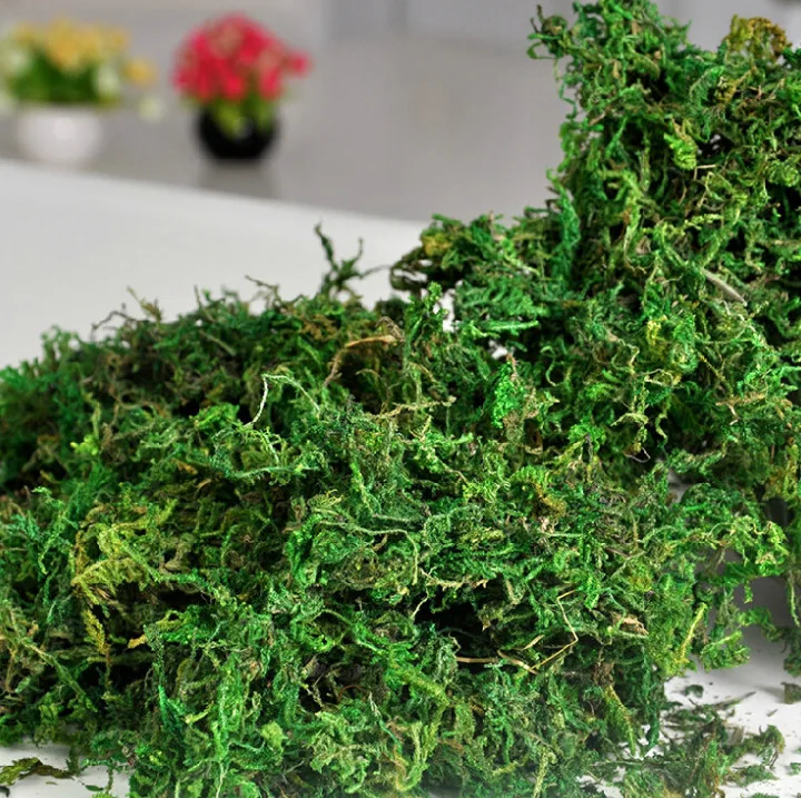 4551970033_1538239467