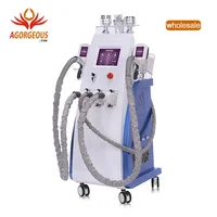 

Cryolipolysis slimming machine with 4 handles for loss weight/ new design double chin removal