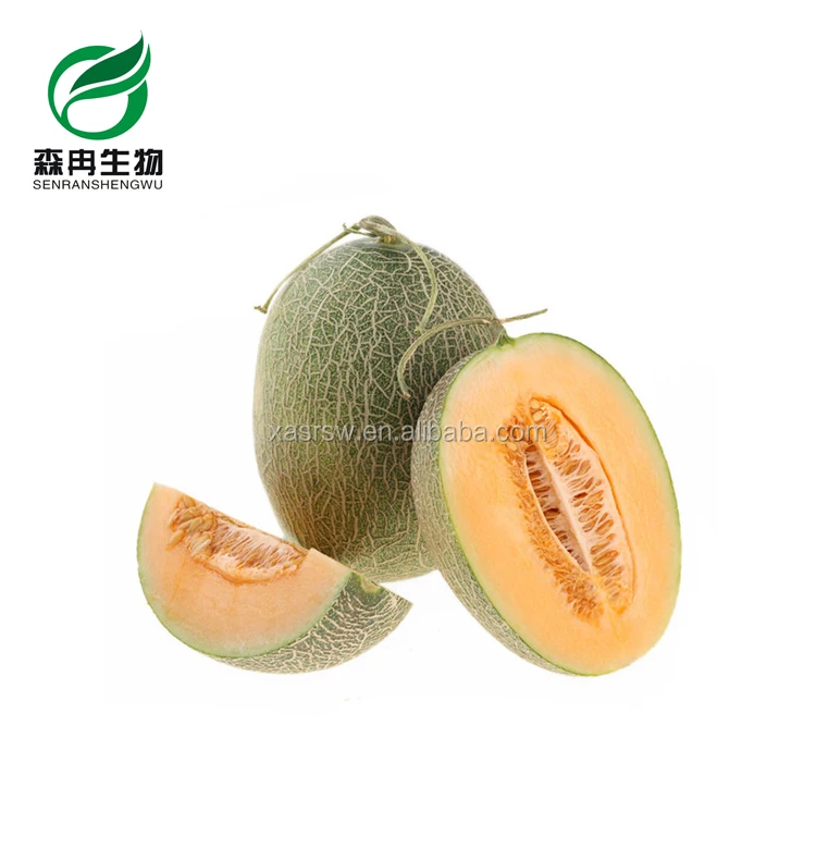 Organic Cantaloupe extract for sale