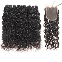 

Wholesale Raw Virgin Indian Hair Water Wave Human Hair Weave Bundles With Lace Frontal Closure