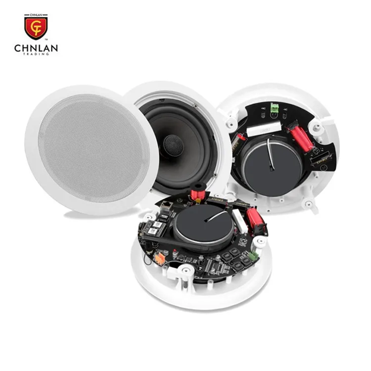 Chnlan CS386 Hotel Home Theatre HIFI Sound 2-Way Active RJ45 IP APP Wireless WIFI Ceiling Speaker, N/a
Chnlan CS386 Hotel Home Theatre HIFI Sound 2-Way Active RJ45 IP APP Wireless WIFI Ceiling Speaker, N/a