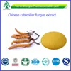 /product-detail/chinese-caterpillar-fungus-extract-cordyceps-adenosine-60272971869.html