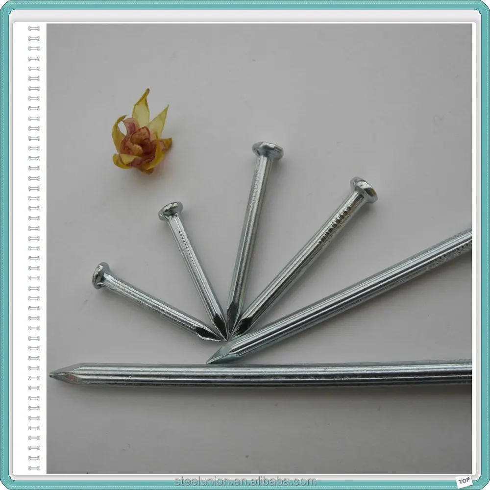 Galvanized Stainless Steel Hardened Concrete Nail
