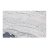 Newest Chinese Quarry Pretty White Diamond Granite Slab