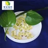 Best quality Deer Placenta Extract softgel