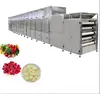 /product-detail/best-price-industry-food-dehydrator-vegetable-drying-machine-microwave-tunnel-dryer-60745189966.html