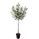 Factory Direct Wholesale Mini Artificial Olive in Pot Home Garden Decoration Fake Olive Tree Bonsai