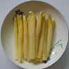 /product-detail/canned-white-asparagus-organic-canned-asparagus-60565402111.html