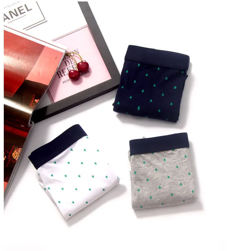 5325179857_686008313