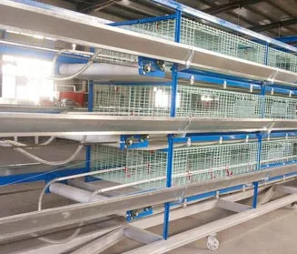 chicken cage,automatic chicken cage,chicken  cage for sale