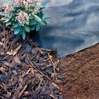 BSCI factory black PP spunbonded non woven fabric for garden landscape