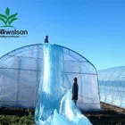Various sizes single span film greenhouse for potato and tomato