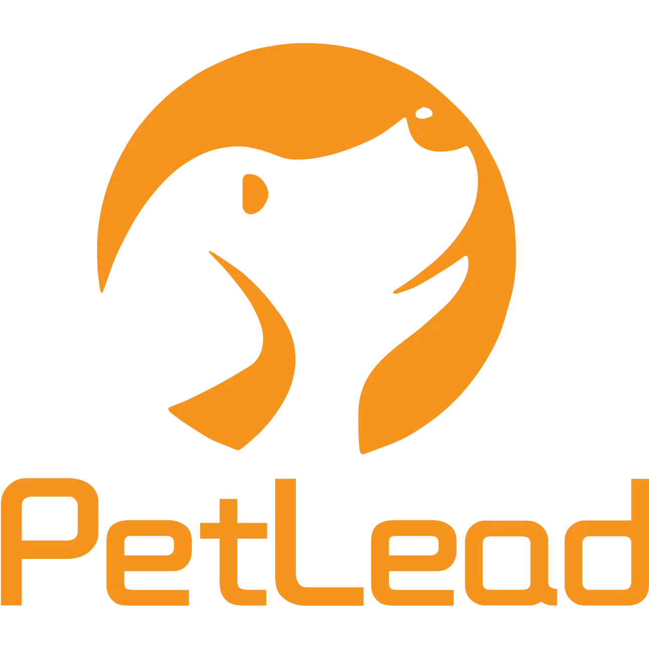 Pet Dog Cat Charging Led Dog Collar 7 Color Usb Rechargeable Led Dog Collar Buy Led Dog Collar