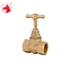 /product-detail/classical-full-size-brass-stop-valve-globe-valve-60451901896.html