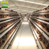 /product-detail/laying-hen-cages-poultry-cage-system-battery-cages-for-sale-60305798924.html