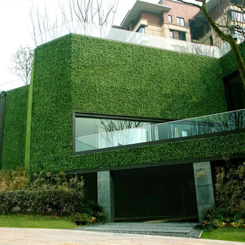 timg (7).jpg