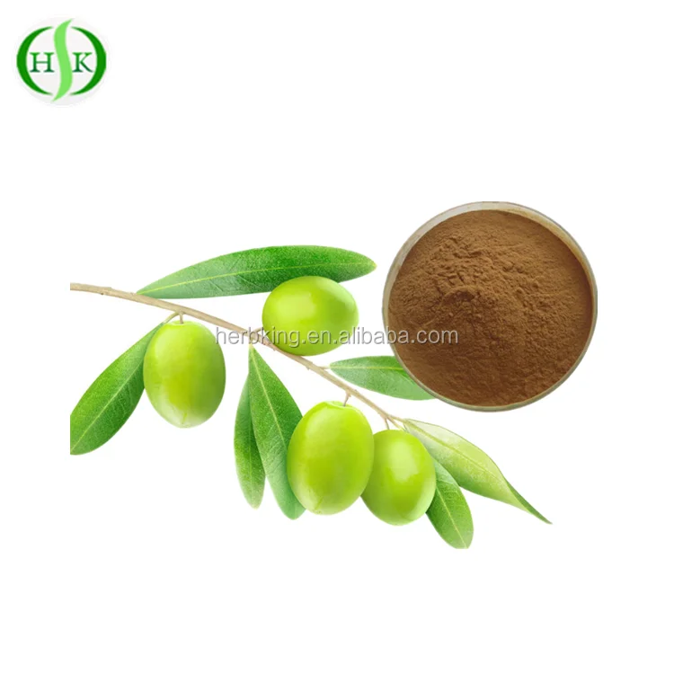 Natural Olea europaea L olive leaf extract 25% oleuropein