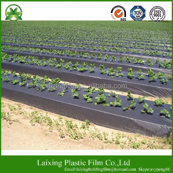 [manufacturer] PE Agriculture Black Ground Mulch Film/Cover