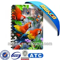 3D Lenticular Notebook Customized For School