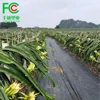 100g woven geotextile Anti weed control mat for greenhouse, black plastic Garden Weed Mulch Matting Roll 1*100m