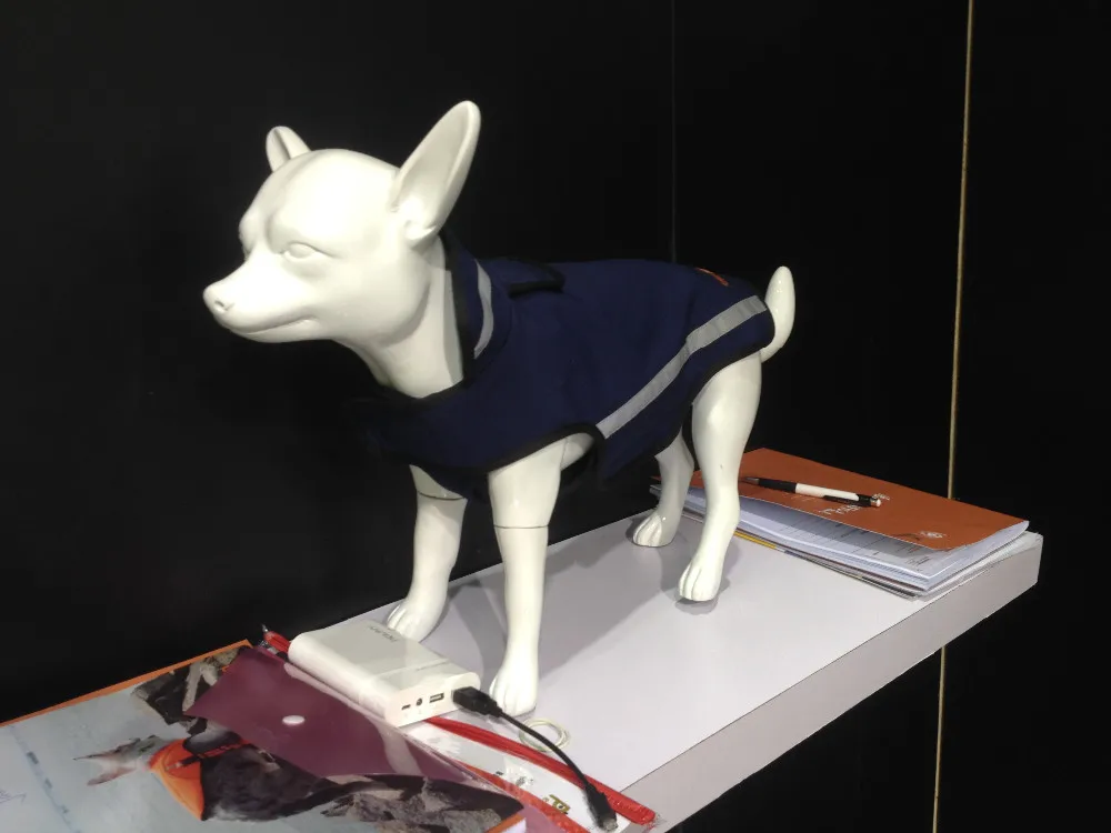 グラスファイバーリアルなペットのチワワ犬マネキン販売用ペットショップディスプレイベアトリスch仕入れ・メーカー・工場
