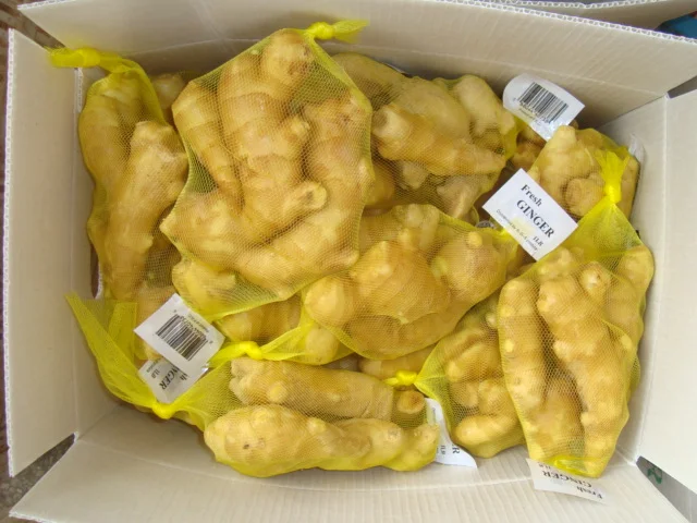 Buy Fresh Young Ginger 200g Up,10kg Plastic Carton