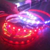 offer custom top quality top intensity top brightness 12V 24V ws2811 led strip with 3 years warranty time