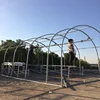 /product-detail/low-tunnel-greenhouse-commercial-used-greenhouse-for-tomatoes-sale-60819086253.html