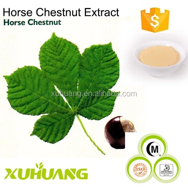 GMP Factory Direct Supply The Top Quality Horse Chestnut Extract/Horse Chestnut