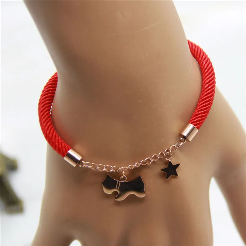 Gold Jewelry Stainless Steel Leather Bracelet Red Rope Star Dog Fashion, As the pictures
Gold Jewelry Stainless Steel Leather Bracelet Red Rope Star Dog Fashion, As the pictures