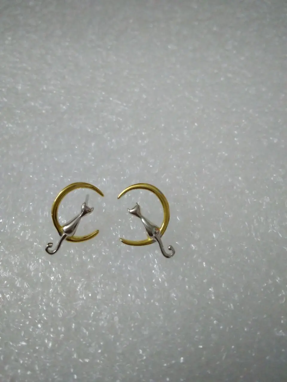 4213563184_803022507