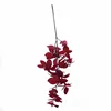 Top seller 2019 burgundy ficus artificial fruit money leaf upgrade new product popular for home decoration