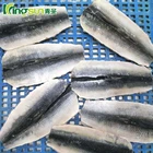 frozen pickled herring/sardine cutting fish butterfly