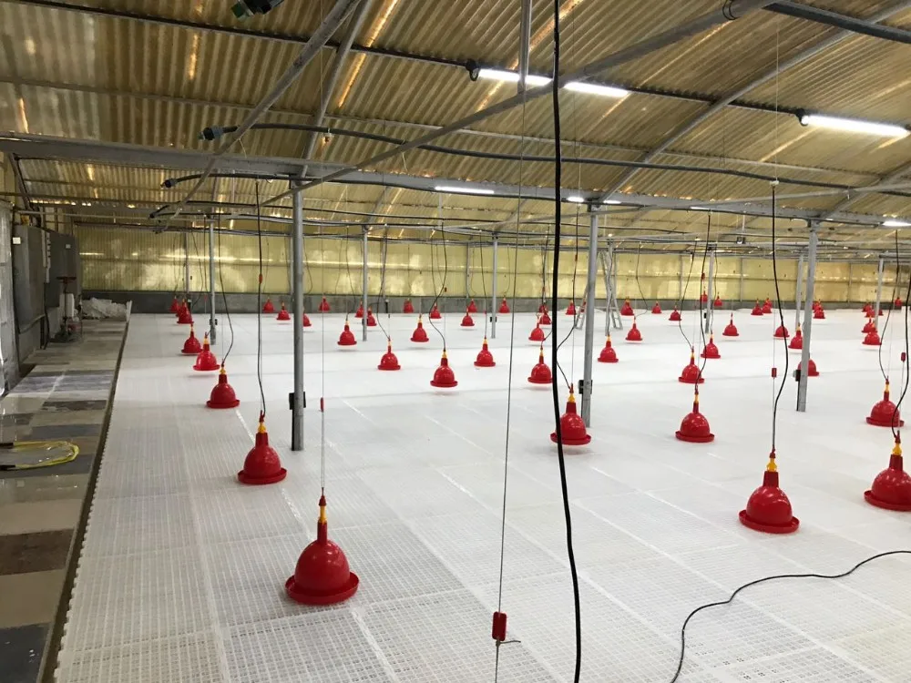 Goldenest Broiler Poultry Plastic Slatted Floor Uv Resistance Virgin