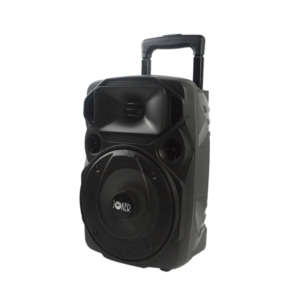 Hot selling portable amplifier trolley speaker portable trolly speaker portable trolley style active speaker - ANKUX.COM