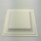 Compostable Fiber Plates Square Food Dish