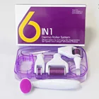 Flagship! Amazon supplier 6 in 1 derma roller set free sample