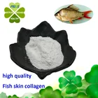 high quality Fish skin collagen Fish collagen powder from Beauty Products