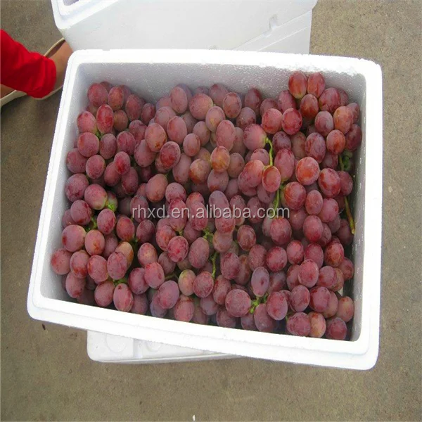 fruits fresh chinese red globe grapes