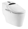 /product-detail/one-piece-ceramic-electric-bidet-intelligent-women-wc-toilet-zjs-02b-60523058008.html