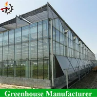 High Quality Multi Span Glass Greenhouse