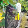 Good ventilation plastic pe mesh bag grape mesh bag with string
