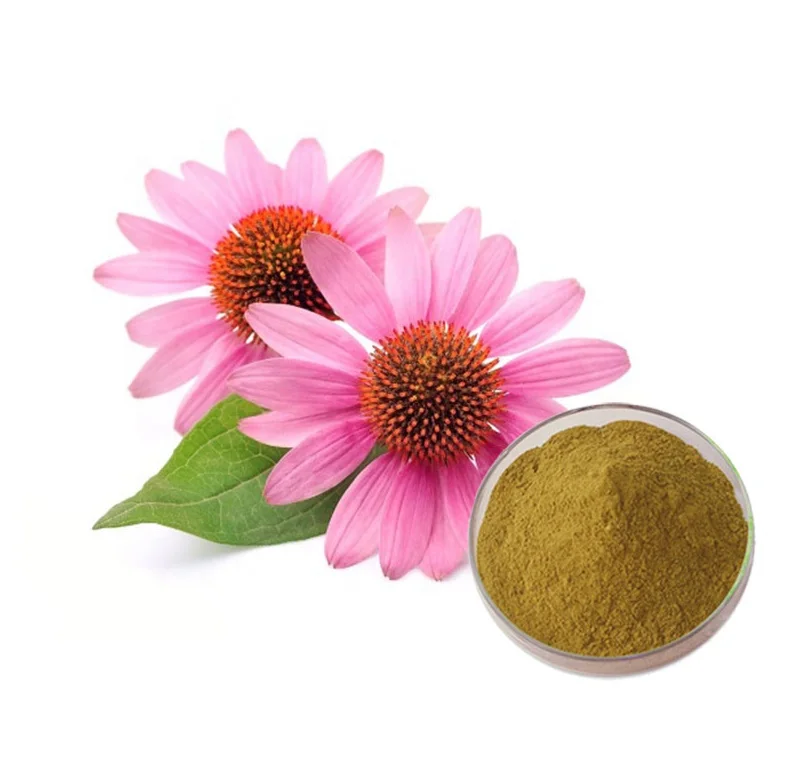 Echinacea extract 5.jpg