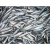 /product-detail/hot-selling-frozen-atlantic-herring-fish-from-japan-62019907883.html