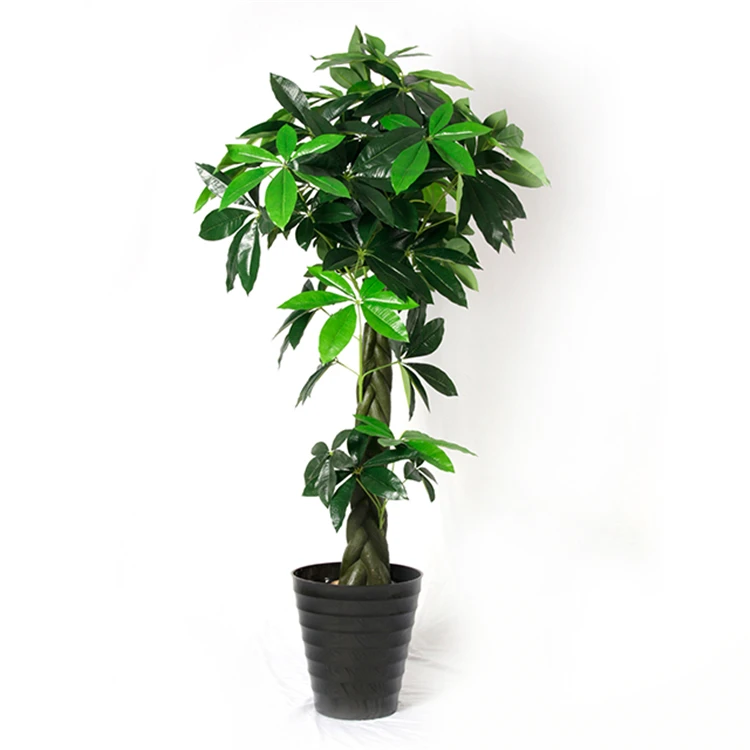Best quality Simulation pachira macrocarpa tree 48 leaves / 1.5 m artificial tree bonsai plants artificial plants, N/a
Best quality Simulation pachira macrocarpa tree 48 leaves / 1.5 m artificial tree bonsai plants artificial plants, N/a