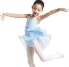 JW New Fashion Kids Ballet Dance Leotards with Skirt
